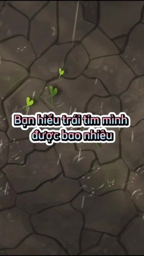 vn_9896f92f-6927-45fc-a90b-5c0d563e3820_000237